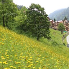 Ayder Resort Hotel Турция, Чамлыхемшин - отзывы, цены и фото номеров - забронировать отель Ayder Resort Hotel онлайн фото 2