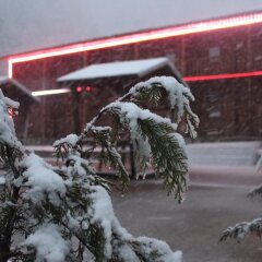 Beyza Motel & Bungalow Турция, Узунгёль - отзывы, цены и фото номеров - забронировать отель Beyza Motel & Bungalow онлайн с домашними животными