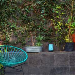 Blue Pepper Hostel Chapultepec Гвадалахара с домашними животными