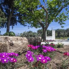 Отель Villa Lucrezio Resort Галатина фото 6
