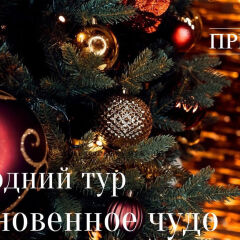 Приморье SPA Hotel & Wellness гостиничный бар