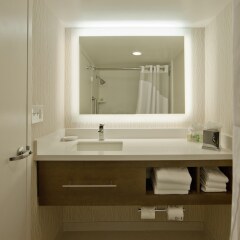 Отель Holiday Inn Washington-Central/White House США, Вашингтон - отзывы, цены и фото номеров - забронировать отель Holiday Inn Washington-Central/White House онлайн ванная