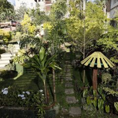 Отель Ridgewood Hotel Филиппины, Багуйо - отзывы, цены и фото номеров - забронировать отель Ridgewood Hotel онлайн фото 4