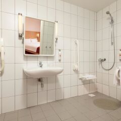 Гостиница Ibis Нижний Новгород в Нижнем Новгороде - забронировать гостиницу Ibis Нижний Новгород, цены и фото номеров ванная фото 2