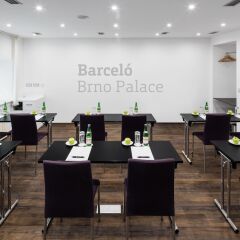 Отель Barcelo Brno Palace Брно фото 13