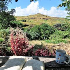 Отель Mountain Oasis Farm Stay Вити-Леву фото 9