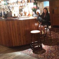 Отель The Roebuck Inn гостиничный бар