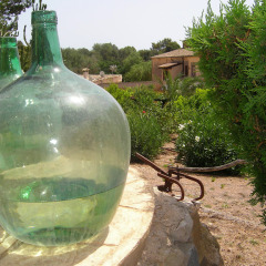 Отель Finca Son Samà фото 11