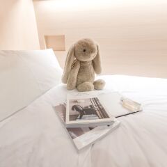 The Chatbox Silom Hostel Бангкок с домашними животными