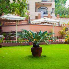 Отель Shambaling Boutique Hotel Непал, Катманду - отзывы, цены и фото номеров - забронировать отель Shambaling Boutique Hotel онлайн фото 7