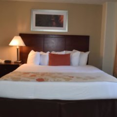 Hawthorn Suites by Wyndham Richardson in Richardson, United States of America from 81$, photos, reviews - zenhotels.com guestroom photo 3