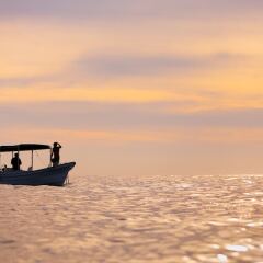 Отель Cabo del Sol, The Premier Collection Мексика, Кабо-Сан-Лукас - отзывы, цены и фото номеров - забронировать отель Cabo del Sol, The Premier Collection онлайн городской автобус