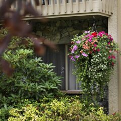 Отель Royal Scot Hotel & Suites Канада, Виктория - отзывы, цены и фото номеров - забронировать отель Royal Scot Hotel & Suites онлайн фото 11