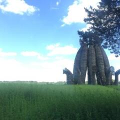 Гостиница Farm Camping Nikola Lenivets в Калуге отзывы, цены и фото номеров - забронировать гостиницу Farm Camping Nikola Lenivets онлайн Калуга фото 4