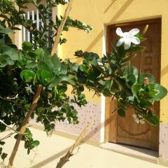 Darna Village Beach Hostel интерьер отеля