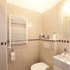 Апартаменты Greg Apartments Kampa Prague ванная фото 2