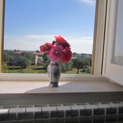 Отель B&B Welcome to Alberobello Альберобелло развлечения