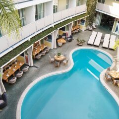 Отель Avalon Hotel Beverly Hills США, Беверли Хиллс - отзывы, цены и фото номеров - забронировать отель Avalon Hotel Beverly Hills онлайн бассейн фото 3