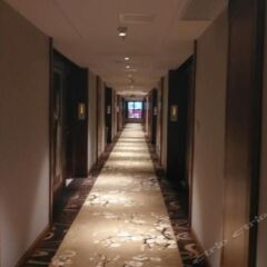 Vienna International Hotel (Guangzhou Science City Performance Center) интерьер отеля
