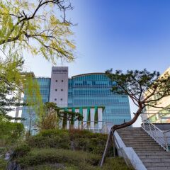 Отель I'm Green House Южная Корея, Сеул - отзывы, цены и фото номеров - забронировать отель I'm Green House онлайн приотельная территория фото 2