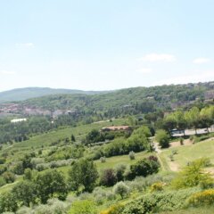 Отель Albergo Villa Marina Кьянчиано Терме фото 3