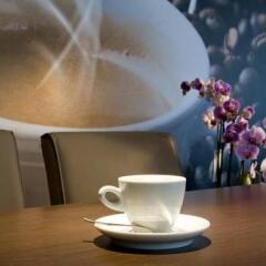 Отель Espresso Нидерланды, Амстердам - 1 отзыв об отеле, цены и фото номеров - забронировать отель Espresso онлайн в номере