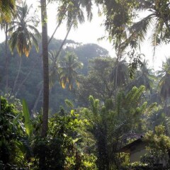 Отель Dunes Unawatuna Hotel Шри-Ланка, Унаватуна - отзывы, цены и фото номеров - забронировать отель Dunes Unawatuna Hotel онлайн фото 6