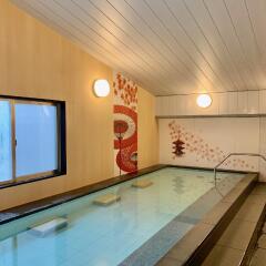 Almont Hotel Kyoto сауна
