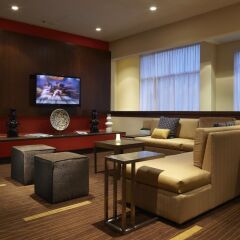 Отель Courtyard by Marriott Ottawa Downtown Канада, Оттава - отзывы, цены и фото номеров - забронировать отель Courtyard by Marriott Ottawa Downtown онлайн детские мероприятия