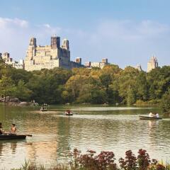 Отель Ritz-Carlton New York Central Park США, Нью-Йорк - отзывы, цены и фото номеров - забронировать отель Ritz-Carlton New York Central Park онлайн приотельная территория