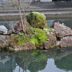 Отель Apa Toyama - Ekimae Тояма приотельная территория фото 2