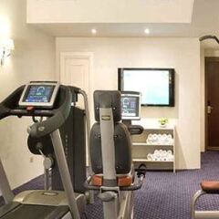 Отель Grand Hotel Sitea Италия, Турин - 3 отзыва об отеле, цены и фото номеров - забронировать отель Grand Hotel Sitea онлайн фитнесс-зал фото 4
