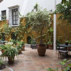 Отель Cervantes Испания, Севилья - отзывы, цены и фото номеров - забронировать отель Cervantes онлайн фото 19