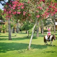Отель Gloria Serenity Resort - All Inclusive детские мероприятия фото 2