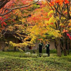 Отель Hoshino Resorts KAI Kinugawa Никко фото 6