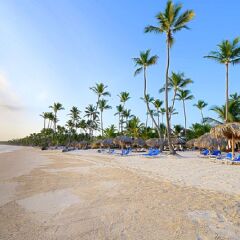 Отель NH Punta Cana Доминикана, Пунта Кана - отзывы, цены и фото номеров - забронировать отель NH Punta Cana онлайн пляж фото 2