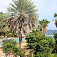 Ocean Resort Apartment Warawara in Willemstad, Curacao from 295$, photos, reviews - zenhotels.com beach