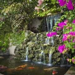 Отель Polkerris Bed & Breakfast фото 5