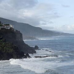 Maritim Hotel Tenerife с домашними животными