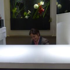 Отель Hôtel Little Regina с домашними животными