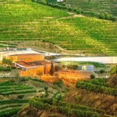 Отель Quinta do Vallado Португалия, Пезу-да-Регуа - отзывы, цены и фото номеров - забронировать отель Quinta do Vallado онлайн фото 10