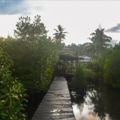 Отель Cinnamon Lake Inn
