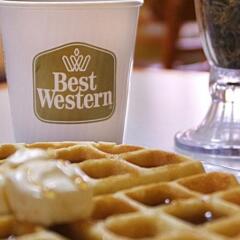 Отель Best Western Center Inn США, Вирджиния-Бич - отзывы, цены и фото номеров - забронировать отель Best Western Center Inn онлайн с домашними животными