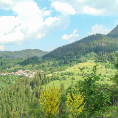Отель Stream Resort Болгария, Пампорово - отзывы, цены и фото номеров - забронировать отель Stream Resort онлайн фото 12