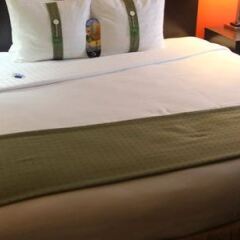 Отель Holiday Inn LaGuardia Airport США, Нью-Йорк - отзывы, цены и фото номеров - забронировать отель Holiday Inn LaGuardia Airport онлайн спа