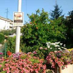Отель Il Melograno B&B Аулла