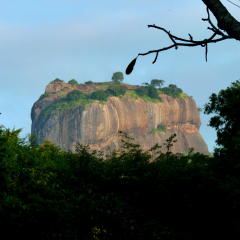 Отель Sigiriya Village фото 3