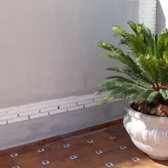 Отель Palm Beach Club