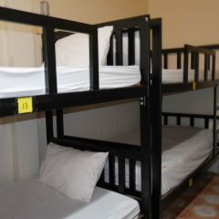 Отель Phuket Old Town Hostel Таиланд, Пхукет - отзывы, цены и фото номеров - забронировать отель Phuket Old Town Hostel онлайн комната для гостей фото 4