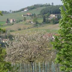 Отель Azienda Agrituristica Costa dei Tigli Костиглиоле-д'Асти